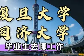上海高校2:同济大学，复旦大学就业解析...视频封面