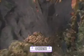 西游记中孙悟空出生日期、年龄、朝代精确数字告诉你视频封面