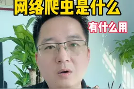 为什么说，学爬虫从入门到入狱，爬虫究竟是什么东西。视频封面