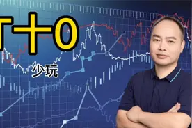 T＋0最好的方法，极少人知道，少做，精做，短时间内难成功视频封面