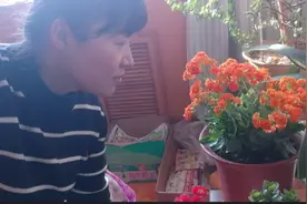 周六去娘家，被老娘的小花园深深吸引了，太美啦！视频封面
