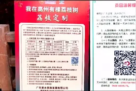 广东高州千年荔枝古树园，园里的荔枝80至2888元一斤。视频封面