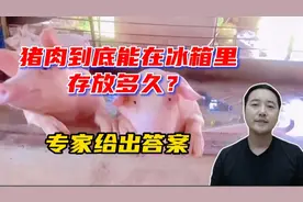 猪肉在冰箱里能放多久？专家给出答案视频封面