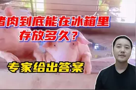 猪肉在冰箱里能放多久？专家给出答案视频封面