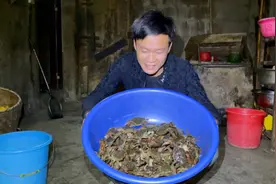 老板收购十斤山螃蟹，小伙深夜下河抓，直接搞了满满一桶赚大了