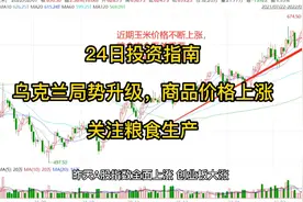 乌克兰危机升级，粮食价格上涨，那些股票受益视频封面