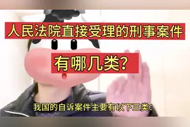 这3类刑事案件直接由人民法院受理！你知道是哪3类吗？视频封面