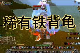 魔兽世界猎人宠物稀有海龟铁背龟抓取地点分享视频封面
