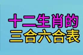 十二生肖的三合六合表，你知道吗？快来看看吧视频封面