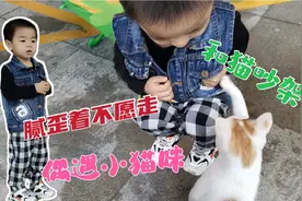 跳宝雨天散步偶遇小猫咪，腻腻歪歪不愿走，最后翻脸和猫咪吵架？视频封面