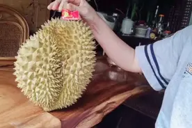 孩子网购的榴莲虽然亏大了，但它的好处，广东媳妇话你知视频封面