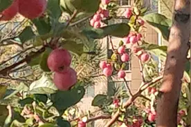 静默了八天的张掖终于解封了，祝愿全国各地人民健康幸福吉祥如意视频封面