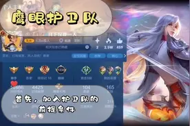 鹰眼护卫队