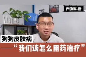 狗狗皮肤病 我们该怎么用药？狗狗皮肤病 我们该怎么治疗？ 下集视频封面
