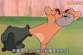 二哥装美女！仓鼠开拖拉机追二哥视频封面