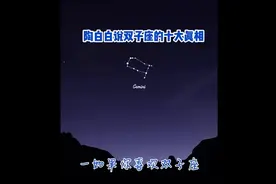 陶白白说双子座的十大真相图片