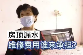 屋顶漏水、维修费用应该由谁来承担？#小区#物业#老旧小区#业主视频封面