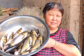 四川特色农家菜大蒜烧仔鲢，用柴灶大铁锅做出来蒜香鱼美，有食欲