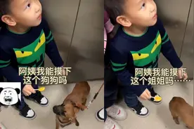 扎心！女子牵狗坐电梯，遇到萌娃想摸狗狗，一开口笑翻众人视频封面