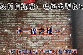 农村自建房之：红砖墙面最终逃不过反碱情况！碰上反碱该怎么办？视频封面