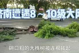 济南今天遭遇了8～10级大风，电线杆被吹倒，碗口大树被连根拔起视频封面