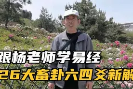 九三称良马，六四为何称童牛，而且头带木牿，这意味着什么？视频封面