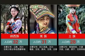 五十六个民族，21—40排名，人口数量及分布视频封面