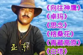 亚东经典歌曲《向往神鹰》《卓玛》《思念》《格桑花》《白塔》视频封面
