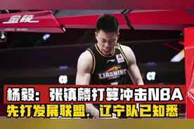 杨毅：张镇麟准备冲击NBA，先参加NBA发展联盟比赛，辽宁队已知悉视频封面