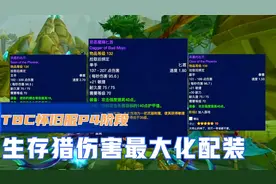 魔兽世界TBC：P4阶段生存猎伤害最大化配装，完美配装你值得拥有