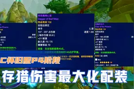 魔兽世界TBC：P4阶段生存猎伤害最大化配装，完美配装你值得拥有视频封面