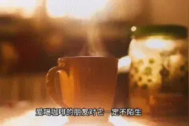 深圳人爱喝咖啡的打工人，
