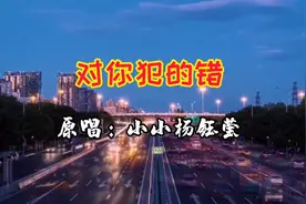 2021年流行的网络歌曲《对你犯的错》，唱的太好了，让人百听不厌视频封面