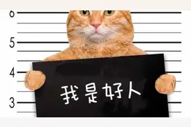 目前就是这样了记住你只是生病了，一切都会好起来！生活还得继续视频封面