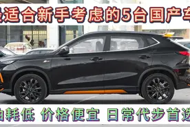 最适合新手考虑的5台国产车，油耗低空间大，保养便宜，代步首选视频封面