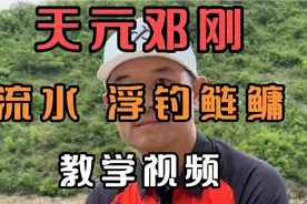 天元邓刚教你如何在流水环境下浮钓鲢鳙，完整教学视频视频封面