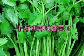 千万别再吃香菜了视频封面