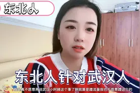 东北人针对武汉人……视频封面