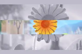 太阳对我眨眼睛，鸟儿对我笑视频封面
