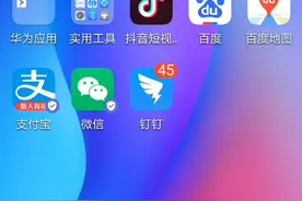 这是我的233乐园号