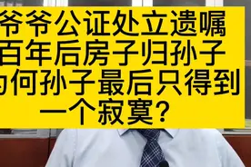 爷爷公证处立遗嘱百年后房归孙子，为何孙子最后只得到一个寂寞？视频封面
