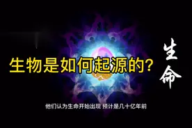 生物是如何起源的？