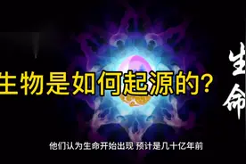 生物是如何起源的？视频封面