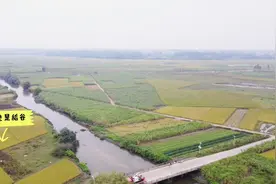 秋收到了，广东农村荒田地越来越多，造成这个现象的原因是什么？视频封面