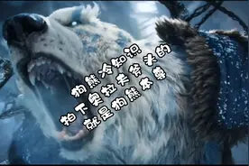 【狗熊冷知识】年度cg里拍下奥拉夫斧头的就是狗熊！视频封面