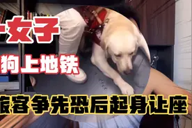 成都出现感人一幕：女子牵狗上地铁，乘客争先恐后让座！视频封面