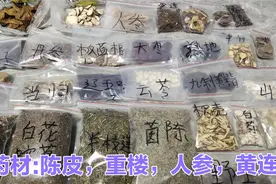 中药材:31种中药材，让我们看看都有那些，带您来认识一下！视频封面