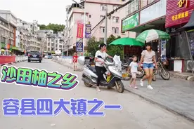 广西玉林这个镇，沙田柚产量占了容县四分之一，素有小南洋之称视频封面