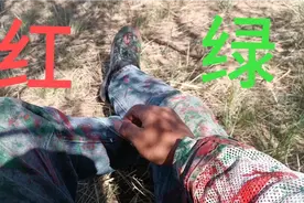刺鼻，嗓子不舒服，流鼻血胃疼，为了钱，为了活着视频封面