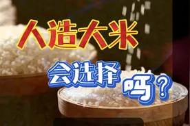 你会选择吃人造大米吗？人造大米是用什么做的？黑科技。视频封面